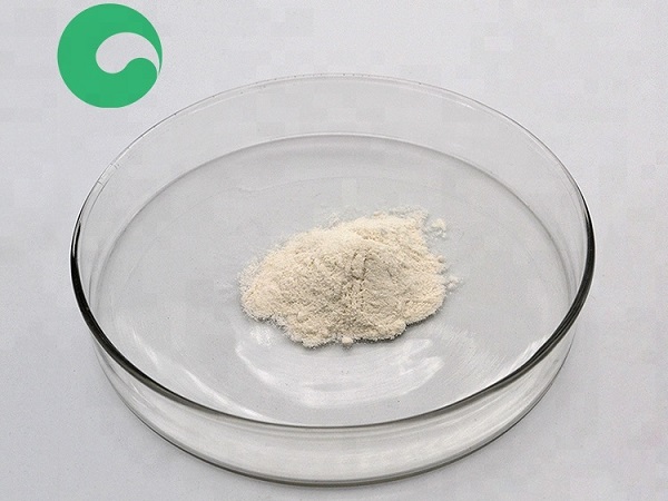 poliacrilamida pam y floculantes y productos químicos para yacimientos petrolíferos - polímero anfótero y floculantes de poliacrilamida （pam